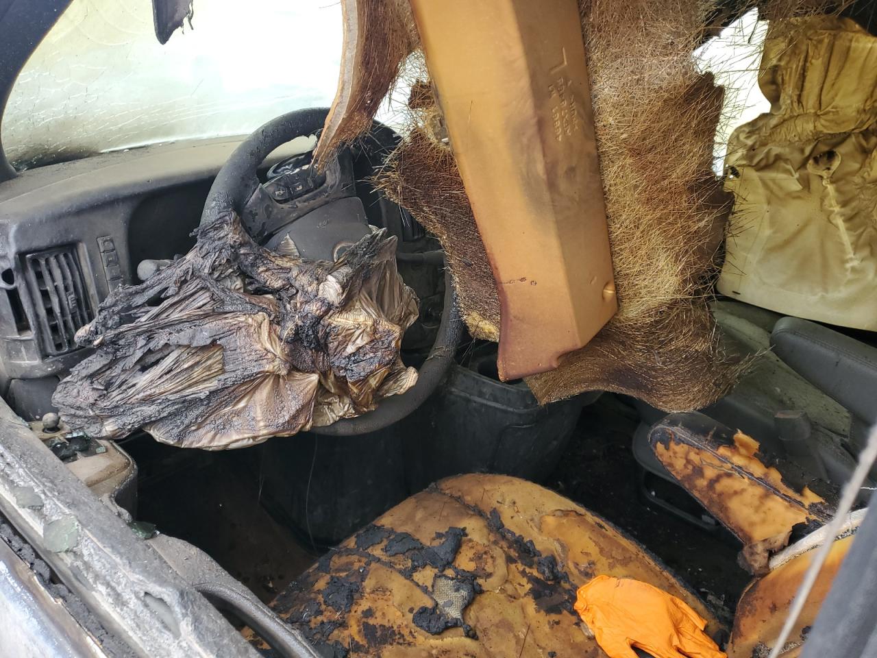 2009 Chevrolet Express G3500 VIN: 1GAHG35K891150724 Lot: 43645685