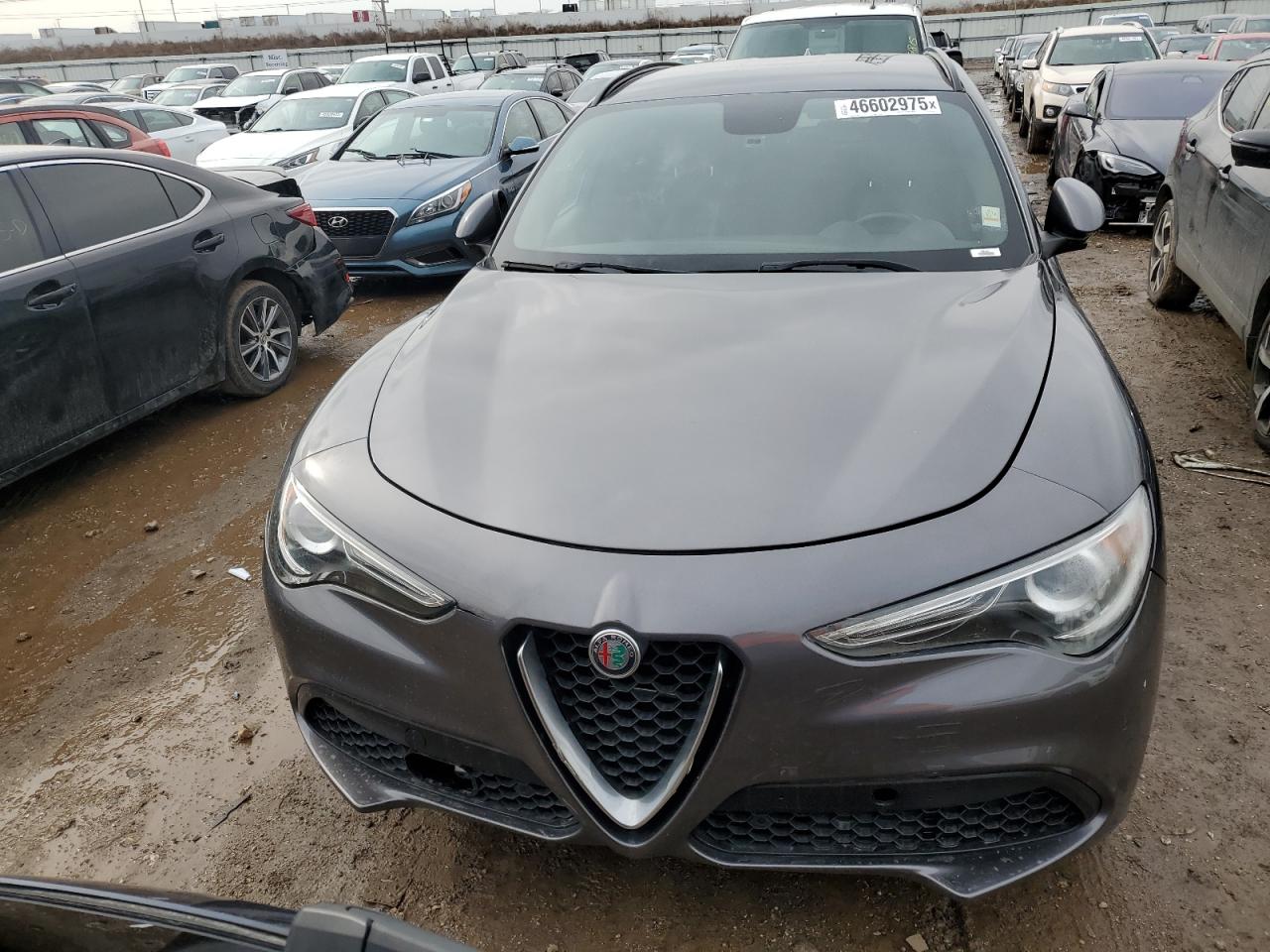 2018 Alfa Romeo Stelvio - Image 5