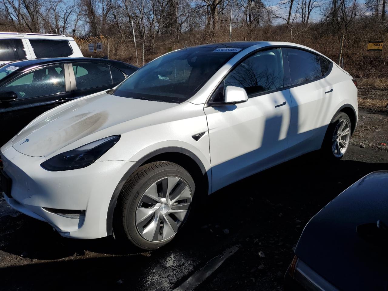 2023 Tesla Model Y за продажба в Marlboro, NY - Side