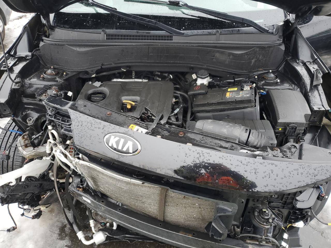 2021 Kia Seltos - Image 12