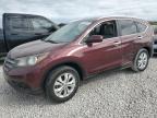 2013 Honda Cr-V Exl იყიდება West Palm Beach-ში, FL - Side