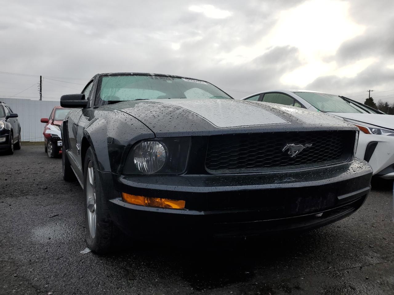 2009 Ford Mustang - Image 5