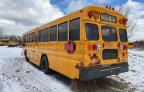 2009 Blue Bird School Bus / Transit Bus  იყიდება Leroy-ში, NY - Normal Wear