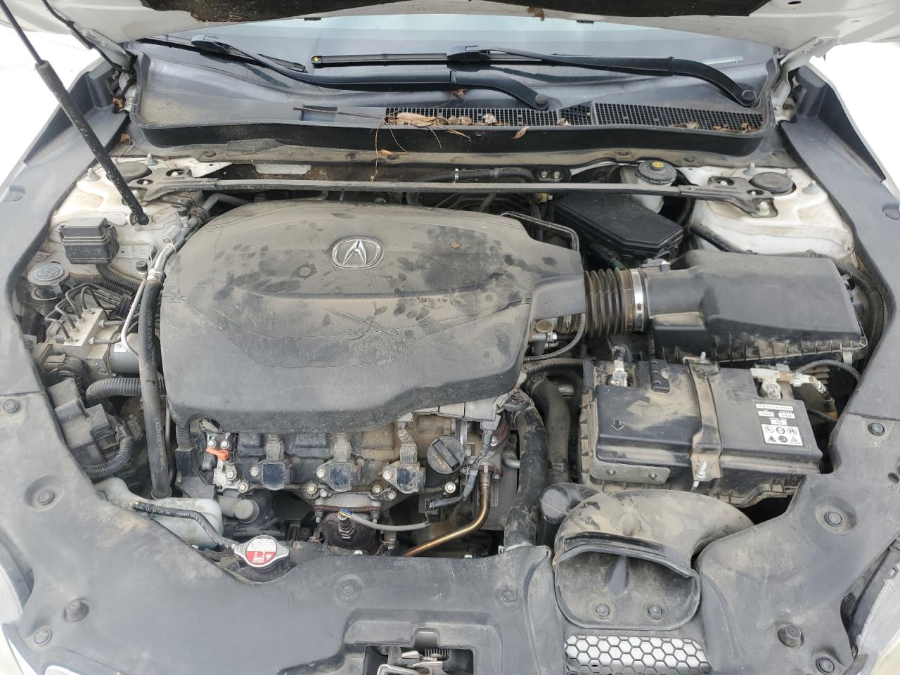 2016 Acura TLX - Image 11