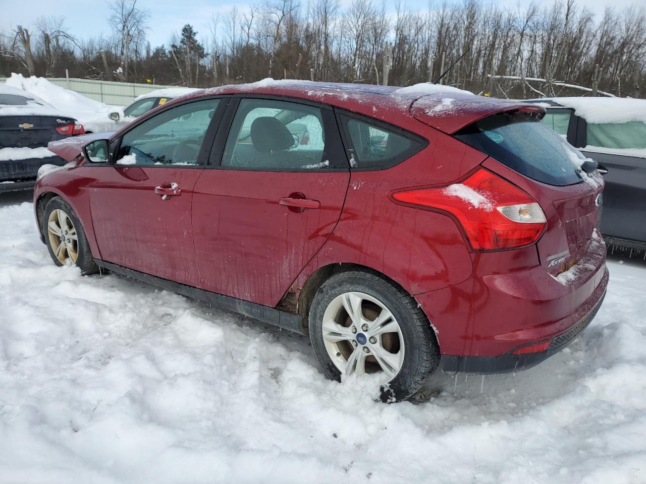 2014 Ford Focus - Image 2