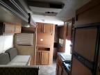 2014 Starcraft Travel Tra იყიდება New Braunfels-ში, TX - Hail