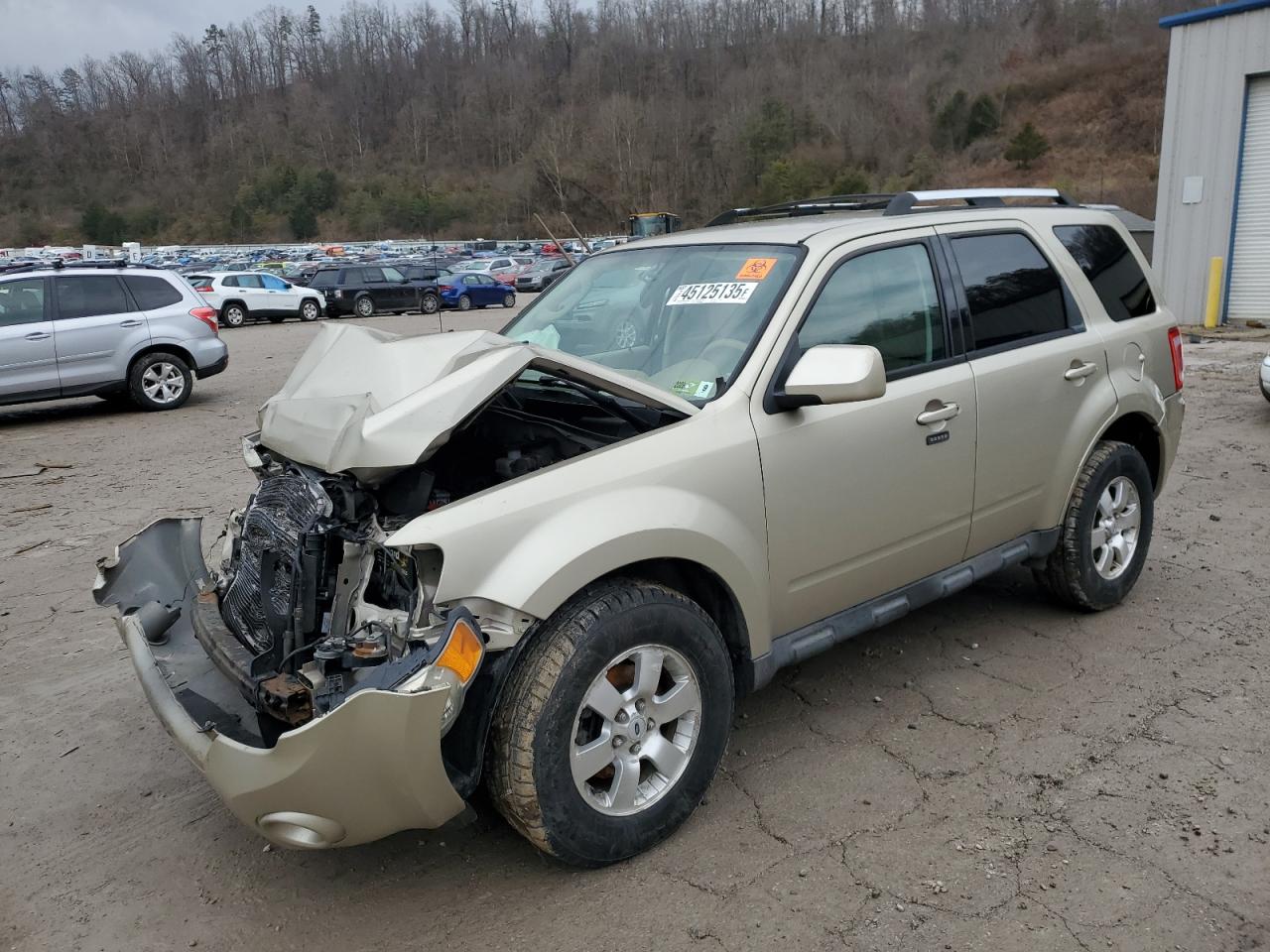 2010 Ford Escape - Image 1