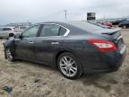 2009 Nissan Maxima S продається в Chatham, VA - Front End