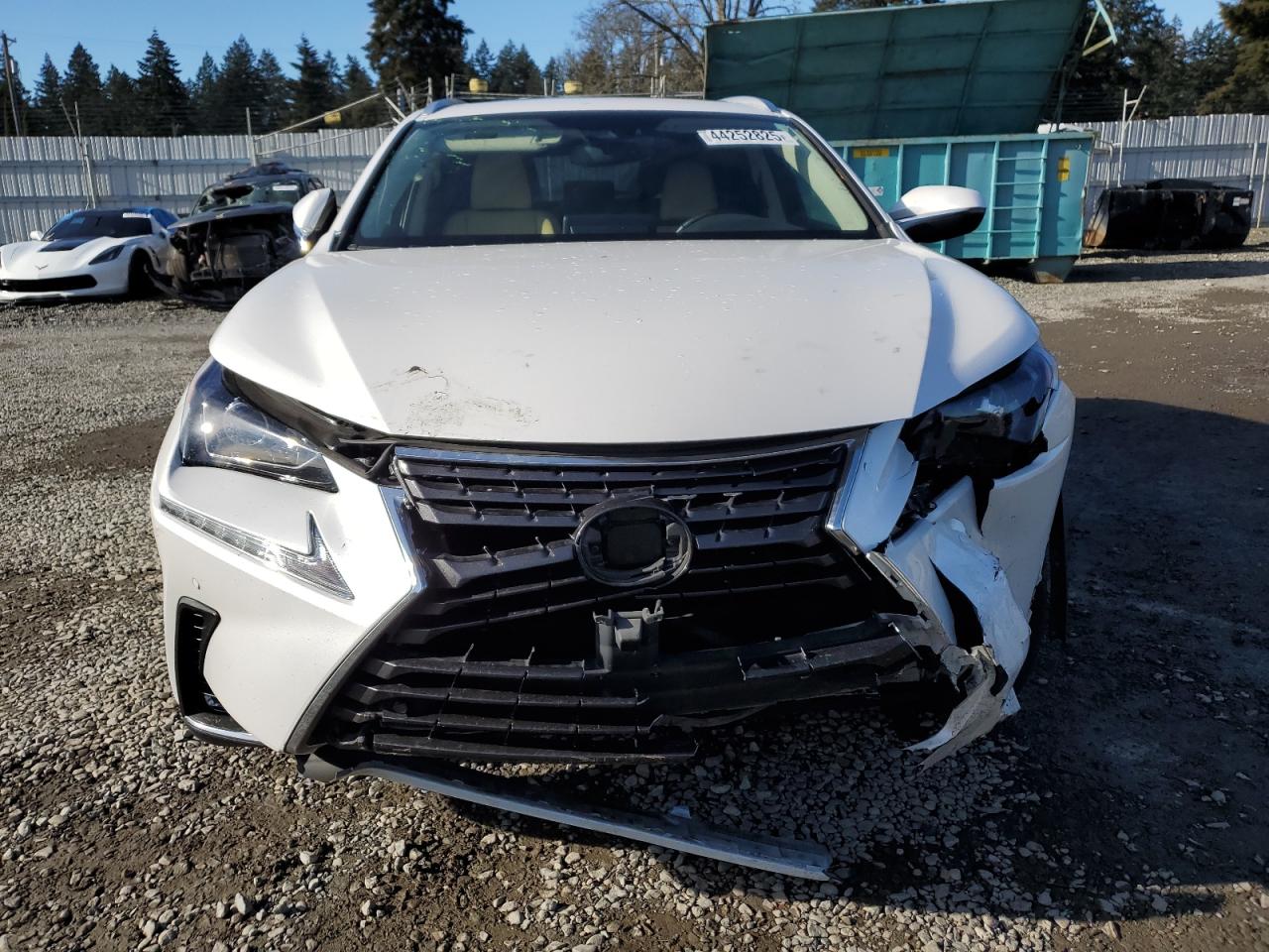 2021 Lexus NX - Image 5