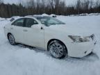 2007 LEXUS ES 350 for sale at Copart ON - COOKSTOWN