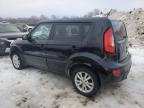 2013 Kia Soul + for Sale in Central Square, NY - Side