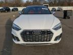 2022 Audi S5 Premium Plus zu verkaufen in Brookhaven, NY - Vandalism