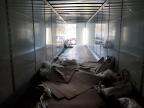 2023 Great Dane Dry Van Trailer for Sale in Montgomery, AL - All Over