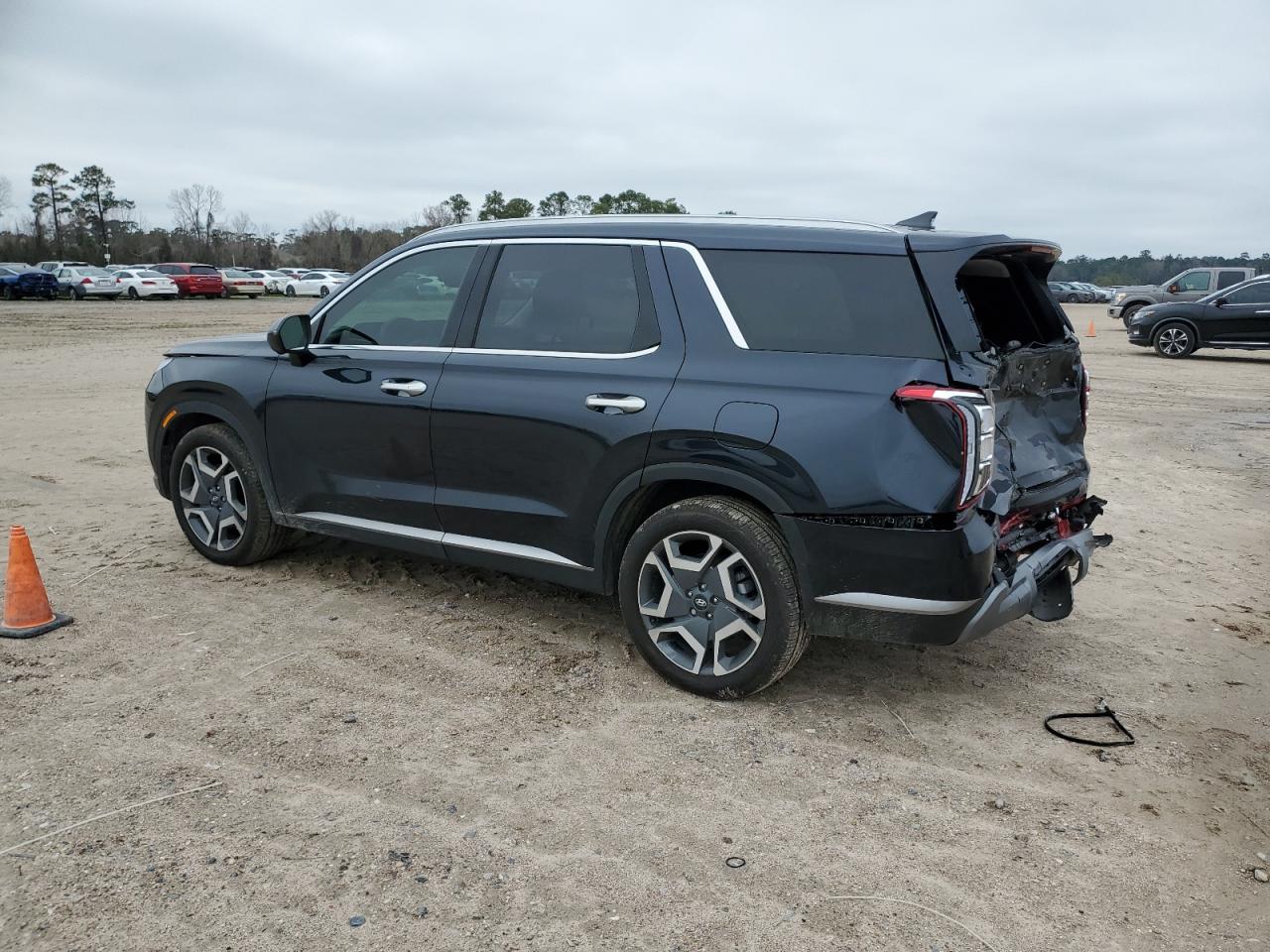 2024 Hyundai Palisade - Image 2