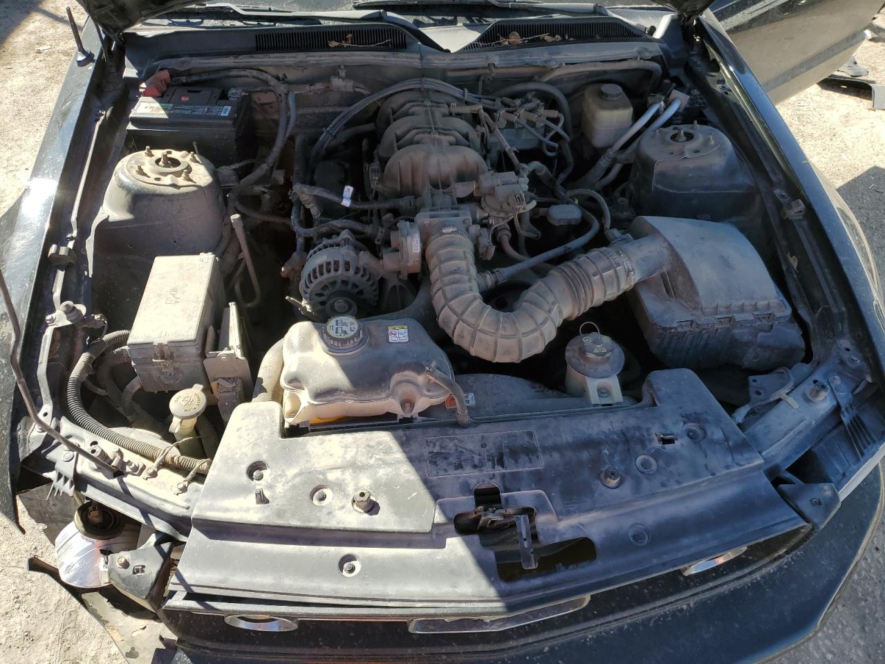 2007 Ford Mustang - Image 11