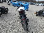 2024 Cf Moto 450Nk  for Sale in Memphis, TN - All Over