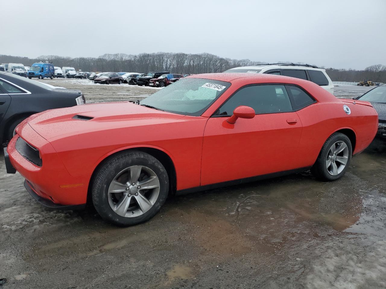 2019 Dodge Challenger - Image 1