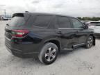 2024 Honda Pilot Exl zu verkaufen in Opa Locka, FL - Front End