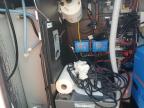 2024 Mercedes-Benz Sprinter 2500 for Sale in Lebanon, TN - Rear End