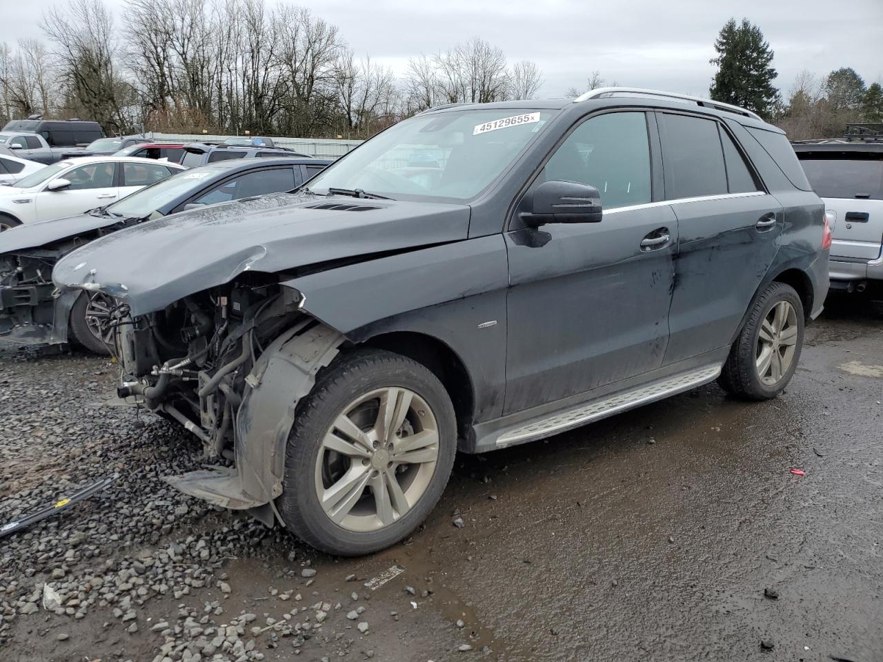 2012 Mercedes-Benz M-klasse - Image 1