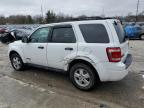 Lawrenceburg, KY에서 판매 중인 2008 Ford Escape Xlt - All Over