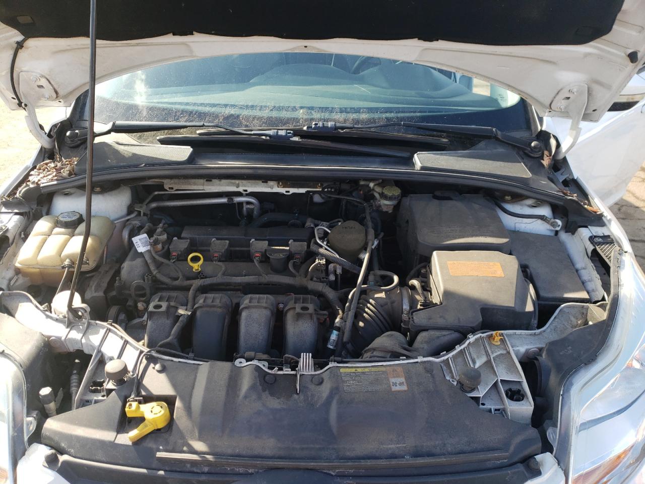 2013 Ford Focus - Image 12