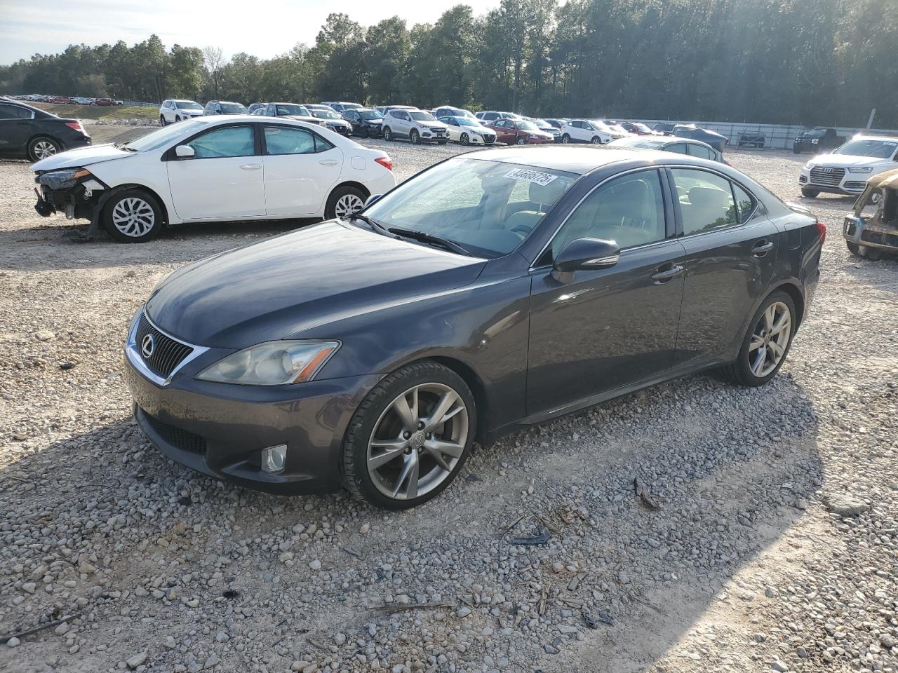 2010 Lexus IS - Image 1