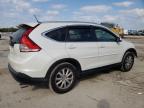 2014 Honda Cr-V Exl للبيع في Jacksonville، FL - Front End