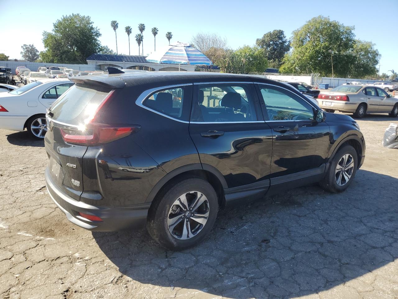 2022 Honda CR-V - Image 3