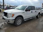 2014 Ford F150 Supercrew იყიდება Fort Wayne-ში, IN - Front End