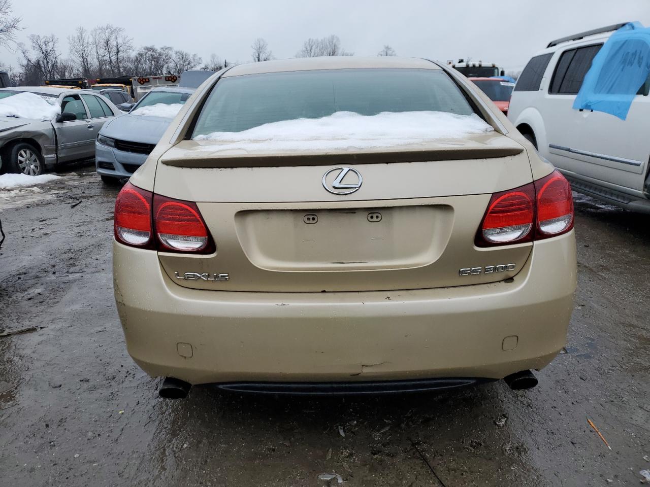 2006 Lexus Gs 300 VIN: JTHBH96S465003248 Lot: 88803045