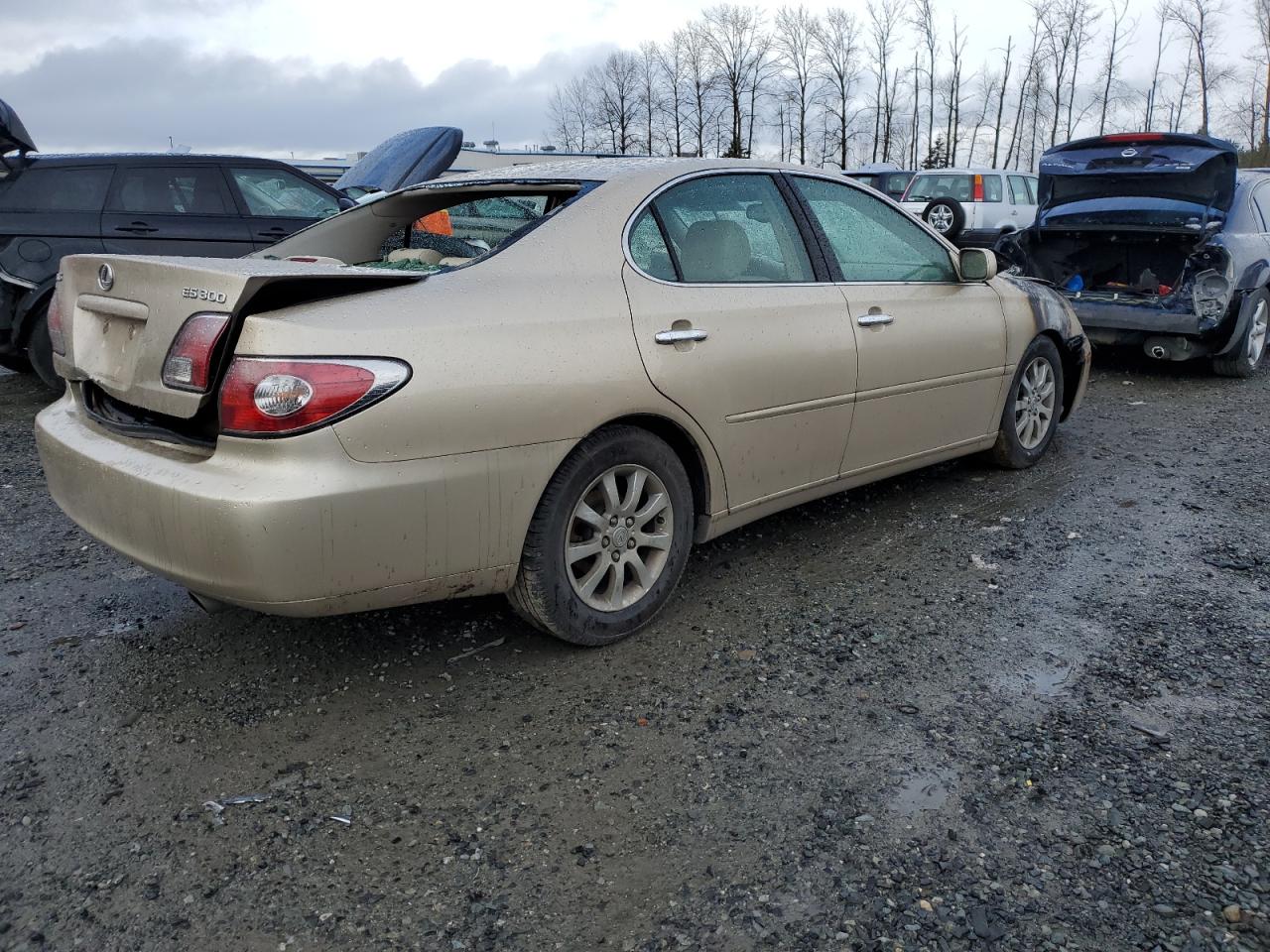 2003 Lexus ES - Image 3