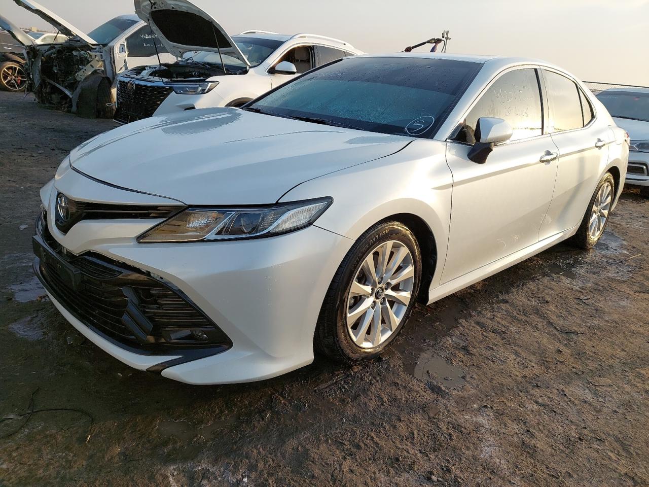 JTNBF4HK5K3020486 - 2019 Toyota CAMRY - #46206725