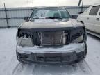 2007 Chevrolet Colorado  იყიდება Cahokia Heights-ში, IL - All Over