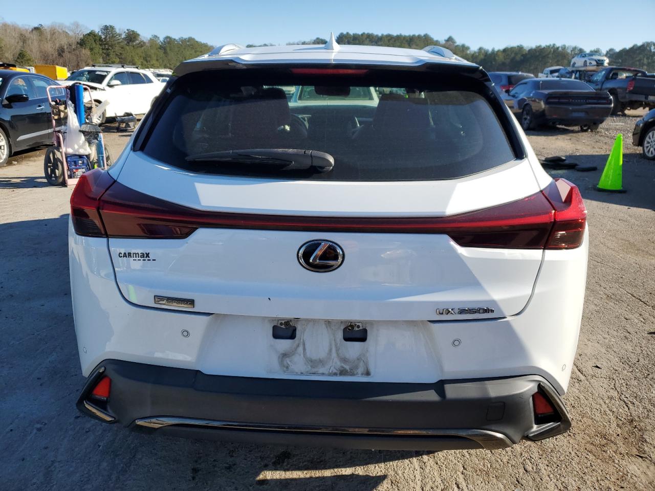 2019 Lexus UX - Image 6