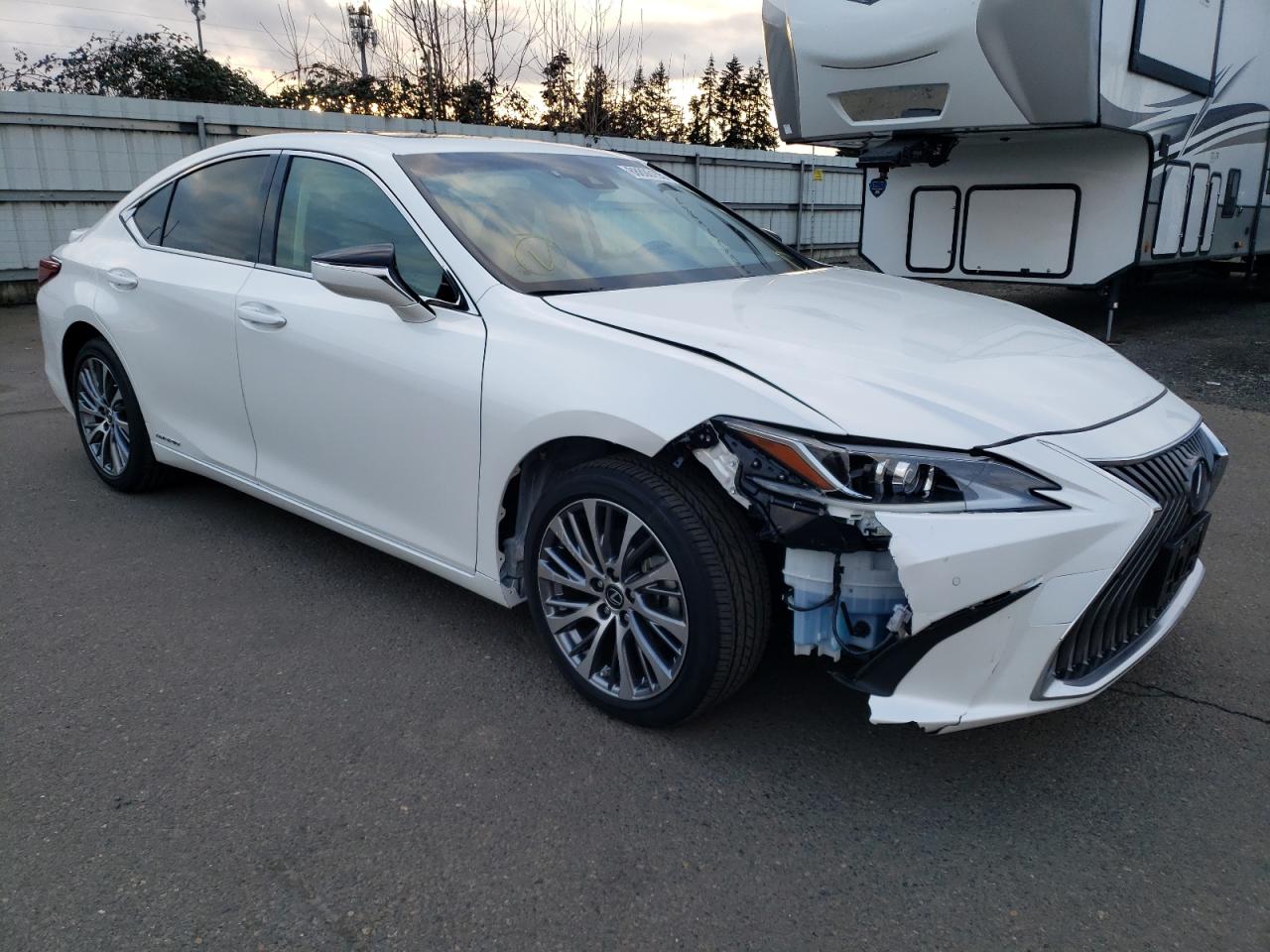 2019 Lexus ES - Image 4