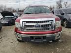 2013 FORD F150 SUPERCREW for sale at Copart MD - BALTIMORE EAST