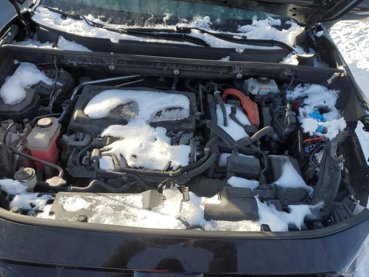 2021 Toyota RAV 4 - Image 11