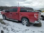 2010 Ford F150 Supercrew na sprzedaż w Louisville, KY - Front End
