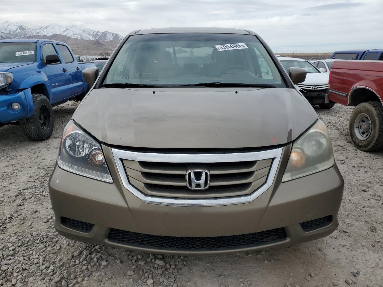 2009 Honda Odyssey - Image 5