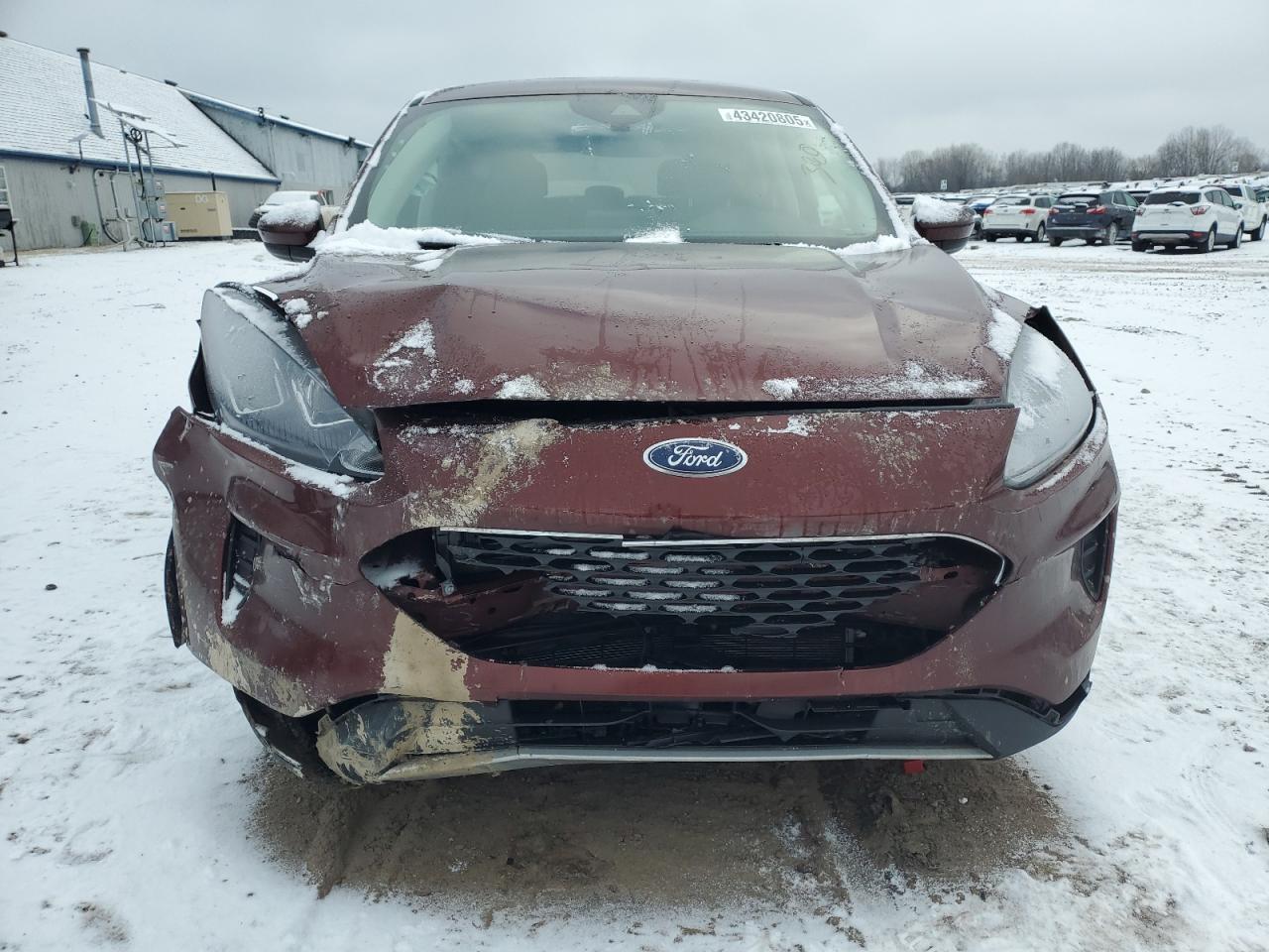 2021 Ford Escape - Image 5