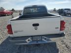 2006 Dodge Dakota Quad Slt   de vânzare în Reno, NV - Front End