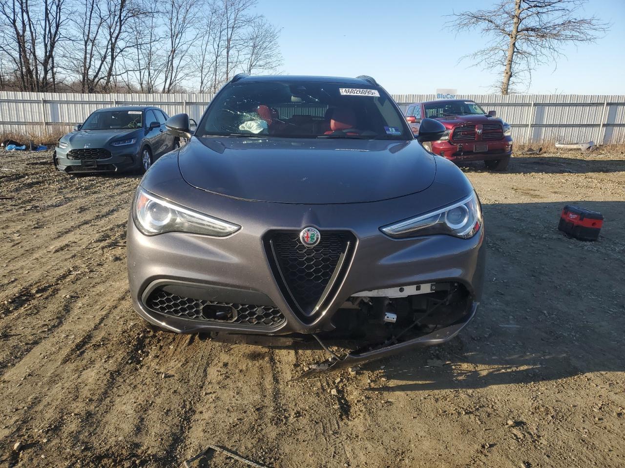 2019 Alfa Romeo Stelvio - Image 5