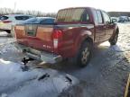 2006 NISSAN FRONTIER CREW CAB LE for sale at Copart CT - HARTFORD