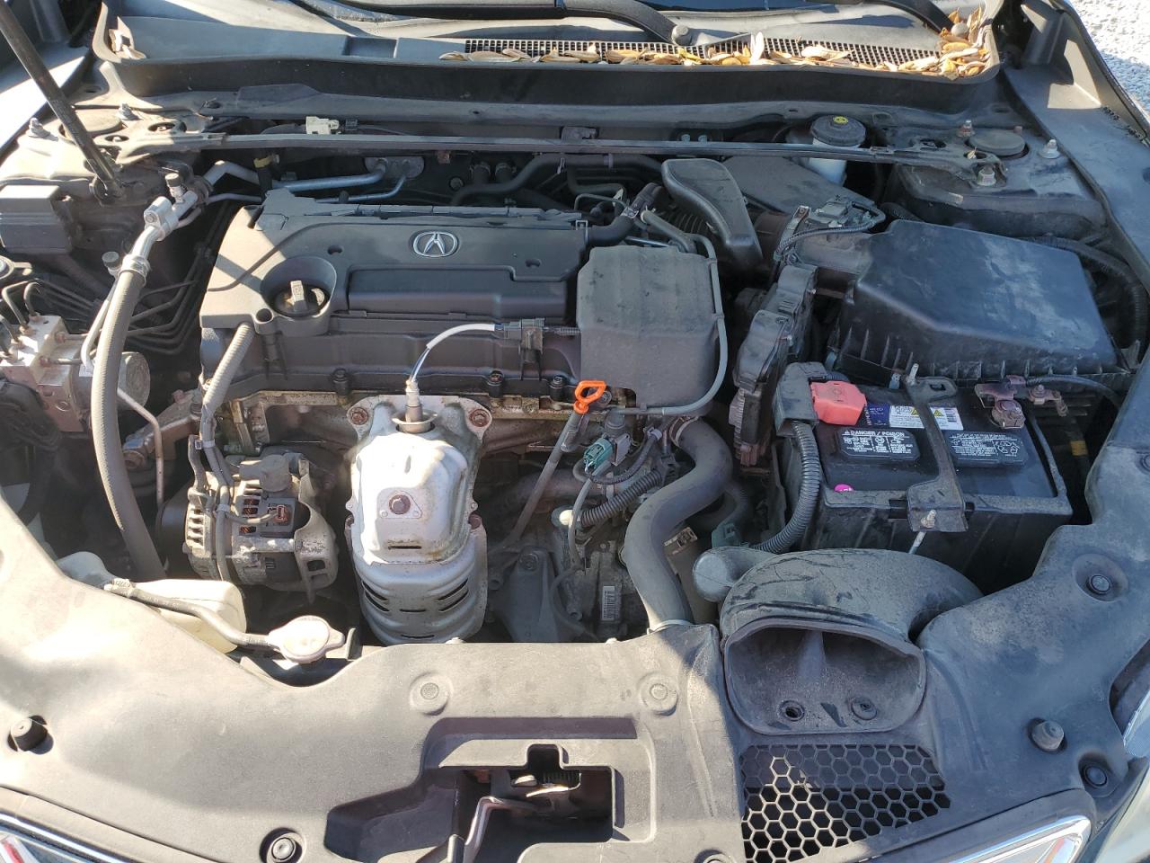 2016 Acura TLX - Image 11