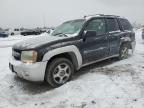 2008 Chevrolet Trailblazer Ls for Sale in Fredericksburg, VA - Side