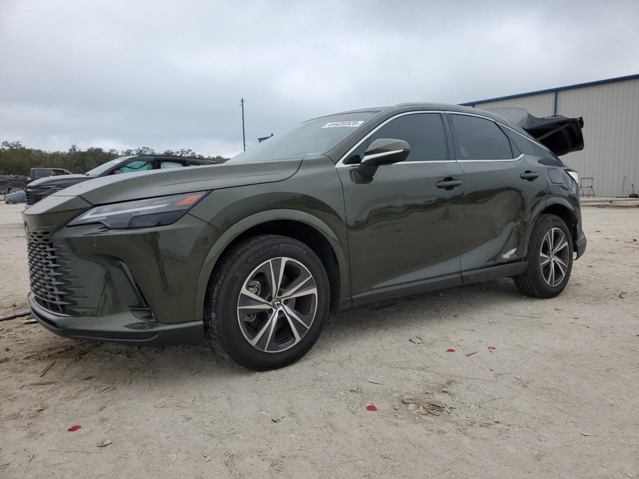 2023 Lexus RX - Image 1