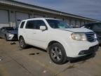 2013 Honda Pilot Ex for Sale in Louisville, KY - Front End