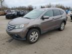 2013 Honda Cr-V Exl for Sale in Woodburn, OR - Front End