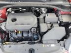 2020 Kia Sportage S na sprzedaż w Chalfont, PA - Minor Dent/Scratches